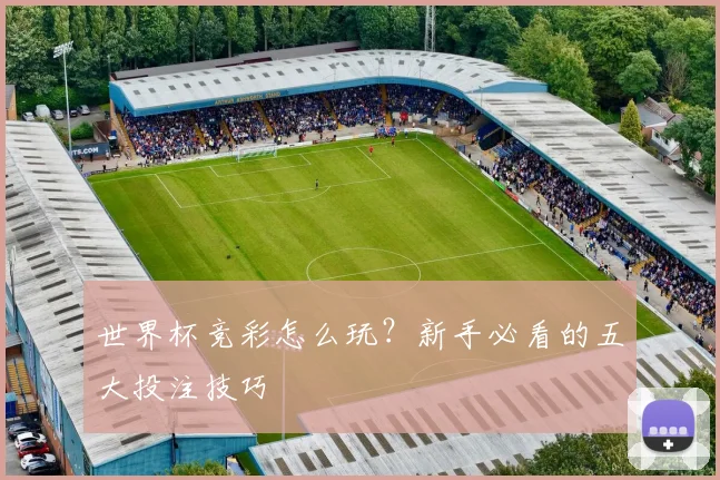 世界杯竞彩怎么玩？新手必看的五大投注技巧