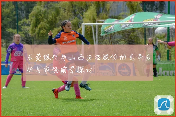东莞银行与山西汾酒股份的竞争分析与市场前景探讨