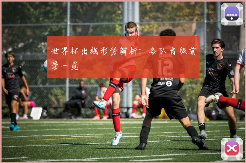世界杯出线形势解析：各队晋级前景一览