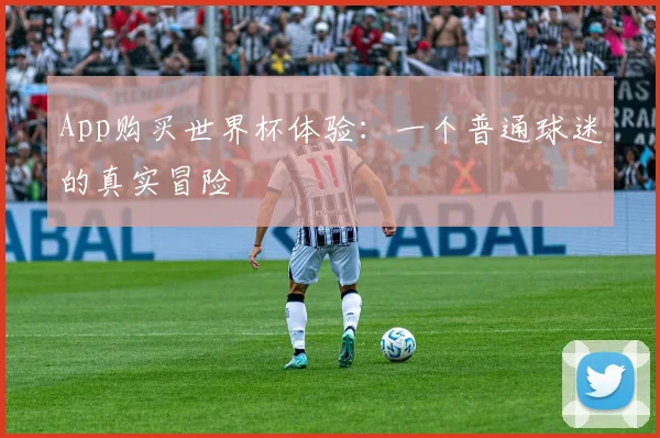 App购买世界杯体验:一个普通球迷的真实冒险