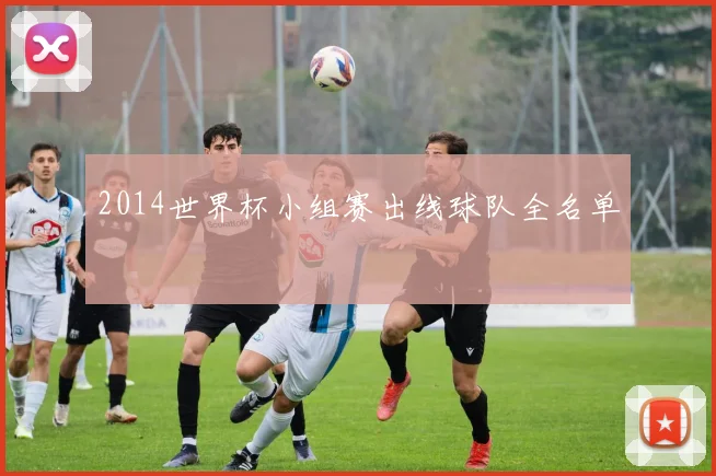2014世界杯小组赛出线球队全名单