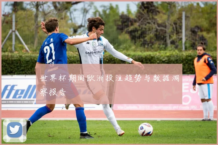 世界杯期间欧洲投注趋势与数据洞察报告